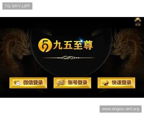 九五至尊手机电子游戏技巧攻略,提升你的游戏水平实现高分突破